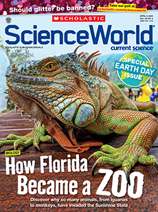 Science World cover image