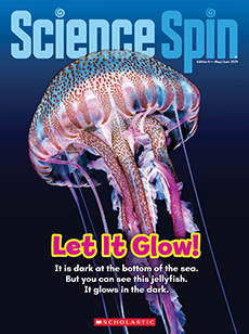 Science Spin K-1 cover image