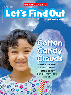 Let's Find Out cover image