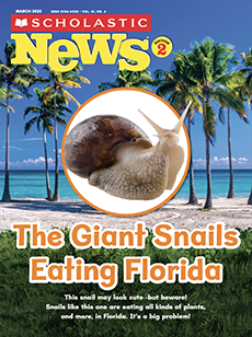 Scholastic News 2 cover image