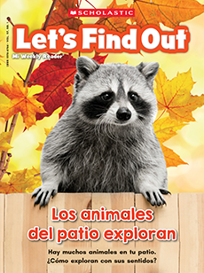 Let's Find Out (Spanish) cover image