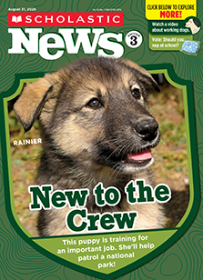 Scholastic News 3 cover image